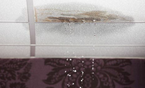 Plumber Bentleigh East